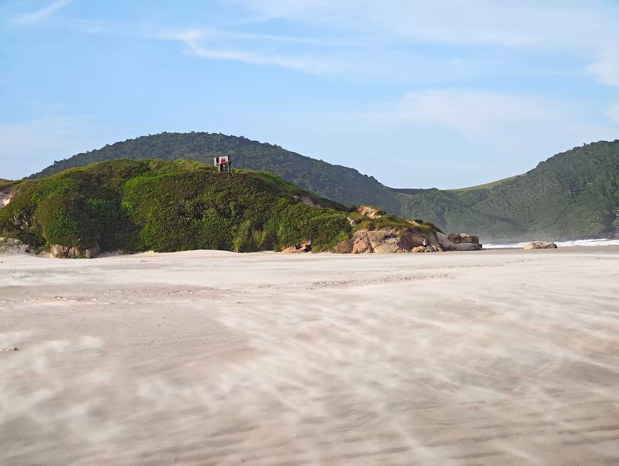 Baleia-franca-austral à superfície, avistada da costa